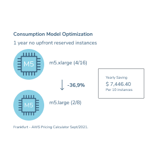 Consumption Model Optimization
